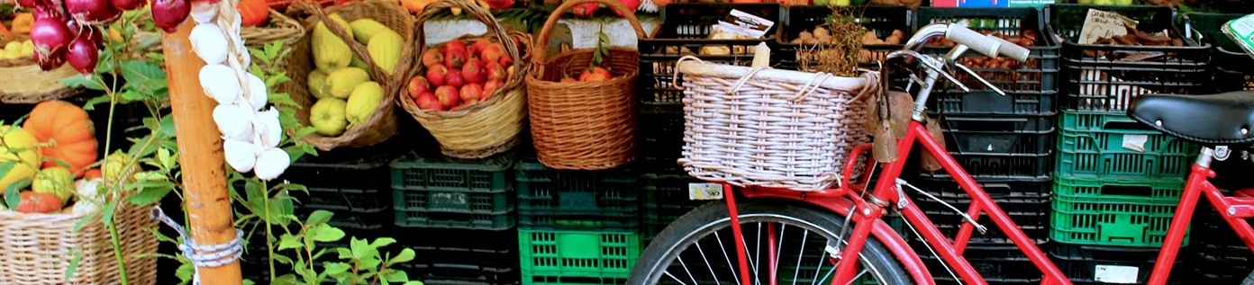 mercato centrale e bici